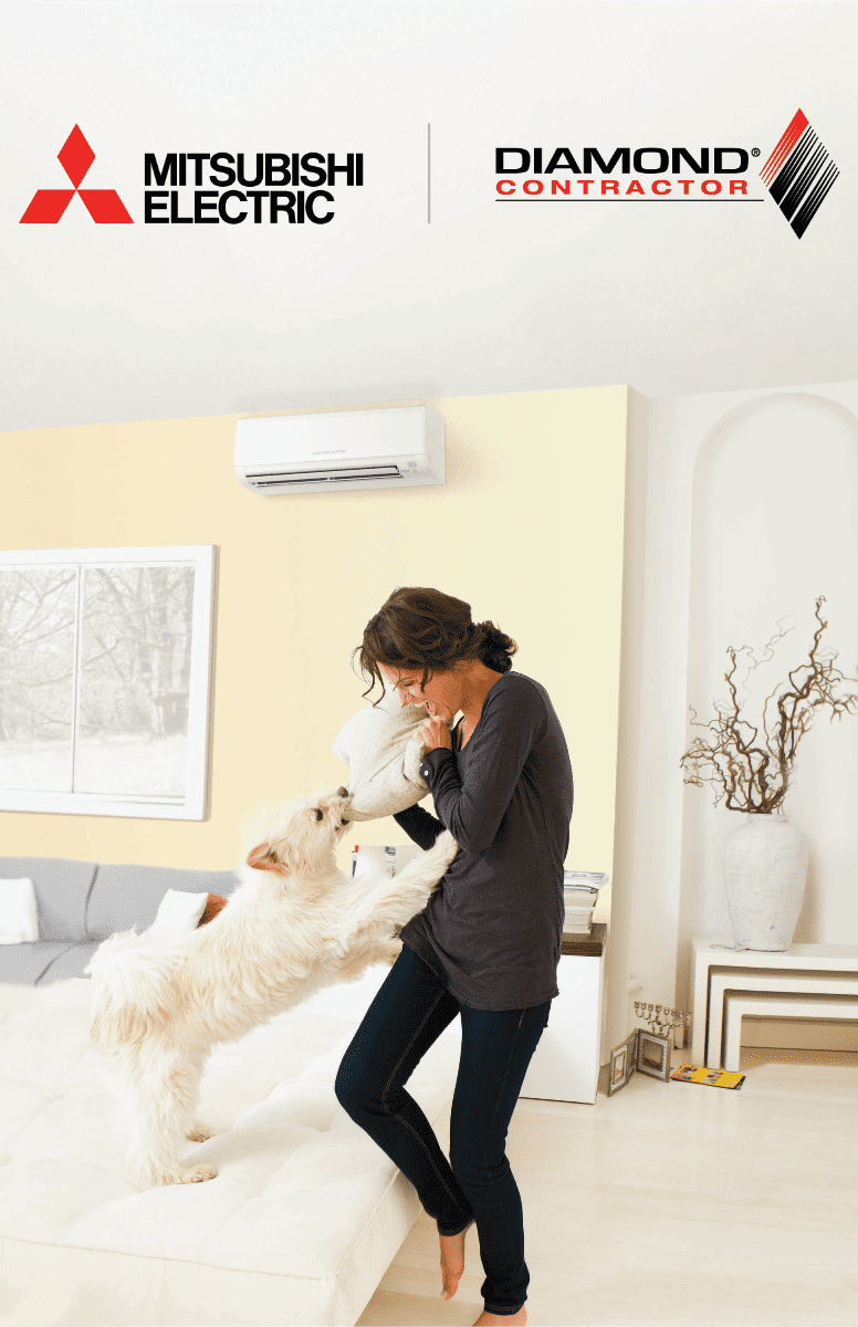 Woman Playing with Her Dog with a Mitsubishi AC Installed on a Wall in the Background